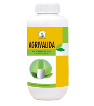 Agrivalida