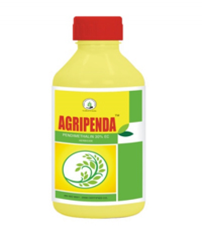Agripenda