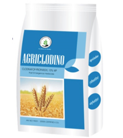 Agriclodino